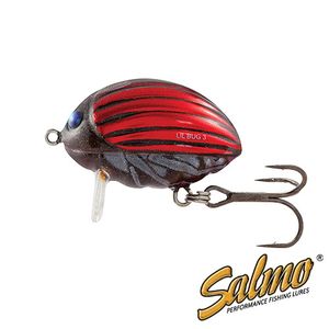 Воблер плавающий Salmo LIL\'BUG F 02/BBG