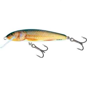 Воблер плавающий Salmo MINNOW F 06/RR