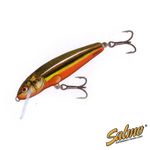 Воблер плавающий Salmo MINNOW F 07/RBD