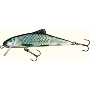 Воблер плавающий Salmo SKINNER F 10/RGS