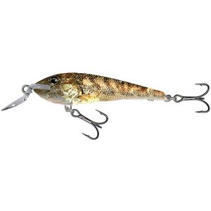 Воблер плавающий Salmo TENO F 06/RG