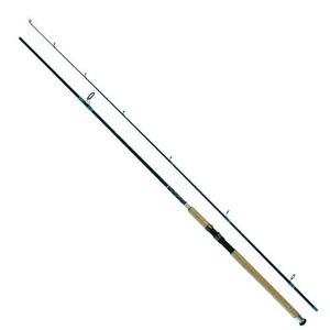 Спиннинг Salmo Diamond POWER PIKE 60 2.70