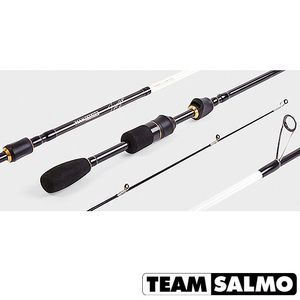 Спиннинг Team Salmo TIOGA 12 7.43