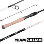 Спиннинг Team Salmo TIOGA 23 7.50