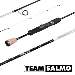 Спиннинг Team Salmo TIOGA 8 7.30