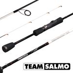 Спиннинг Team Salmo TIOGA 5 7.00