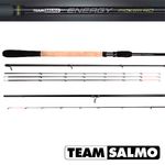 Удилище пикерное Team Salmo ENERGY Picker 40 3.00