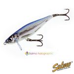 Воблер тонущий Salmo THRILL 07/BF