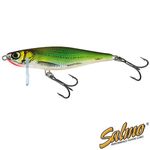 Воблер тонущий Salmo THRILL 07/EF