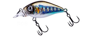 Воблер FISHYCAT icat 32F-SR / R09